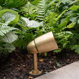 Ealing Ground Spotlight - Antique Brass