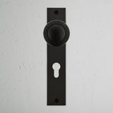 Poplar Long Plate Sprung Door Knob & Euro Lock Bronze Finish on White Background right Facing Front View